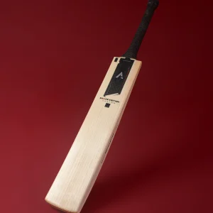 english willow bat