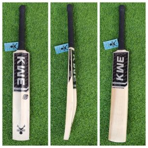 kashmir willow bat